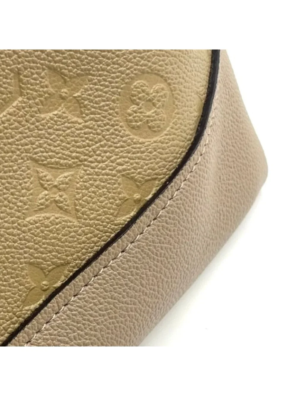 Louis Vuitton brand louis
